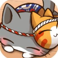 
                        猫咪宿舍                    