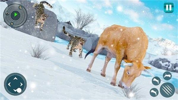 
                        野生雪豹模拟器                    截图0
