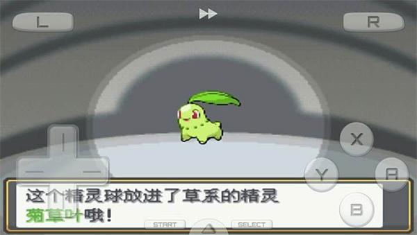
                        口袋妖怪金银重制版                    截图0