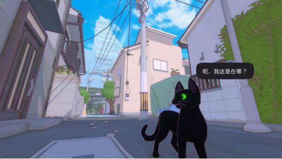 
                        大城小猫模拟器手游                    截图1