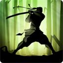 
                        暗影格斗2免费                    