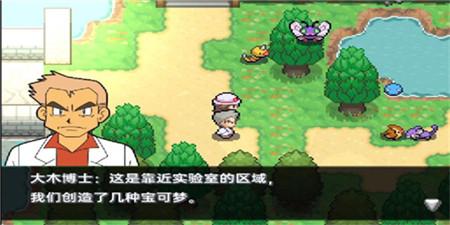 
                        口袋妖怪极夜永昼无相                    截图0
