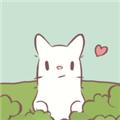 
                        CatsSoup                    