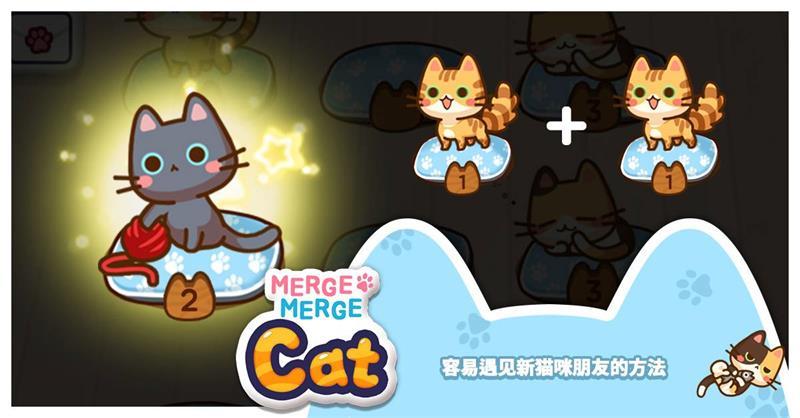 
                        猫咪管家                    截图1