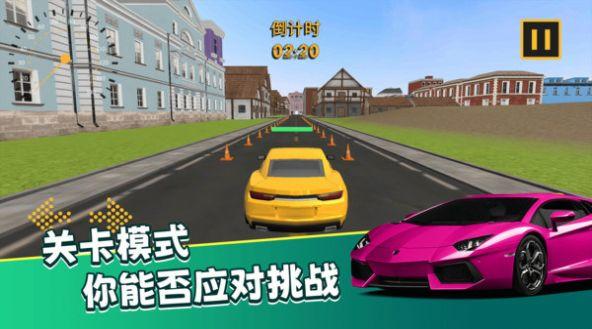 
                        真实模拟司机驾驶                    截图0