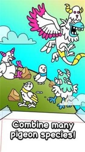 
                        鸽子进化                    截图0