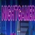 
                        nightgamer夜游者安卓版                    
