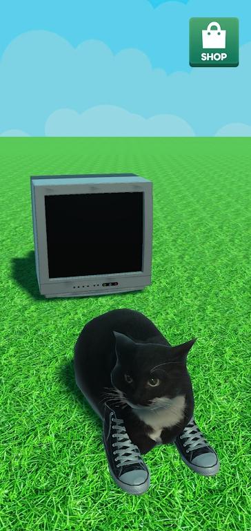 
                        麦克斯韦的猫                    截图2