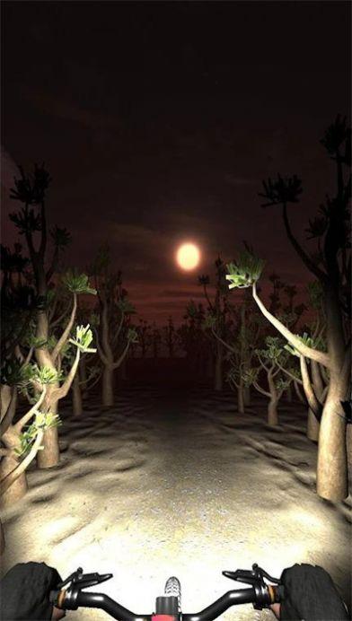 
                        夜骑模拟器                    截图1