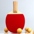 
                        irtualtabletennis                    