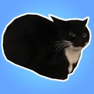 
                        麦克斯韦的猫                    