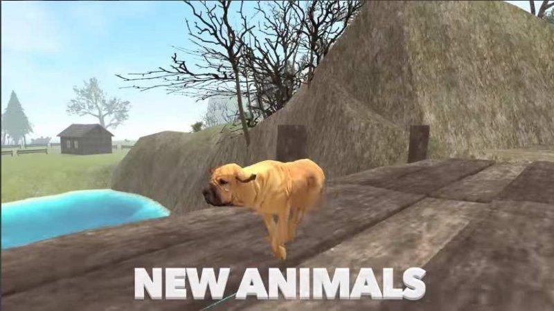 
                        DogSim                    截图0