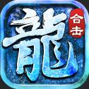 
                        雪域合击                    