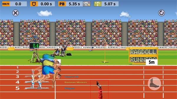 ragdoll runners
