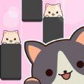 
                        小猫喵喵                    