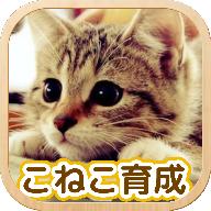 
                        3D猫咪养成                    