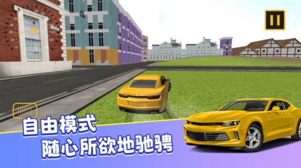 
                        真实模拟司机驾驶                    截图2
