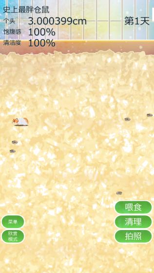 
                        治愈仓鼠养成                    截图1