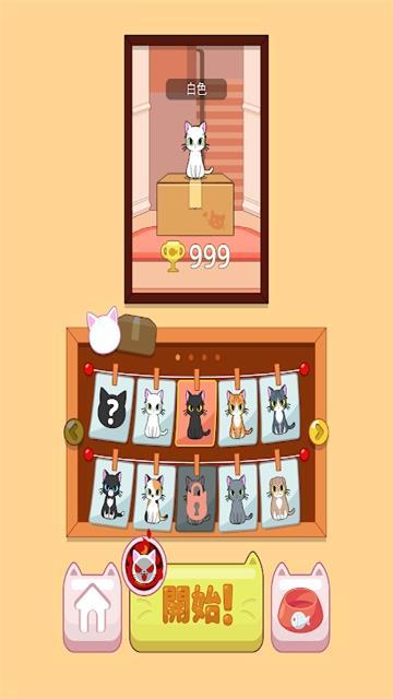
                        BoxCat                    截图1