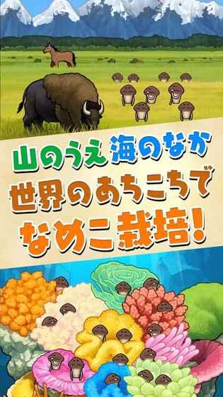 
                        滑子菇栽培套装                    截图2