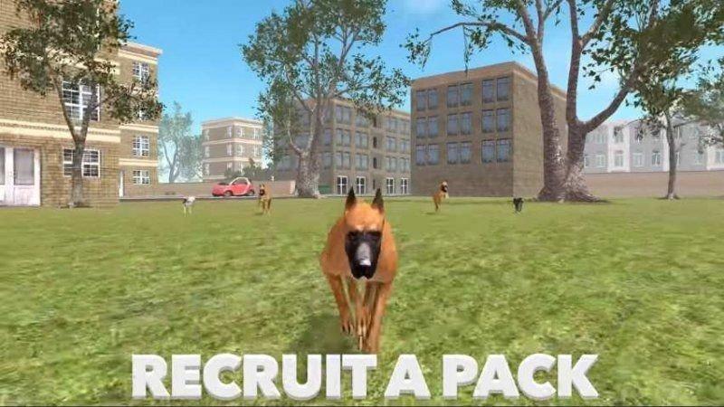 
                        DogSim                    截图1