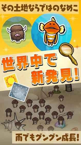 
                        滑子菇栽培套装                    截图0