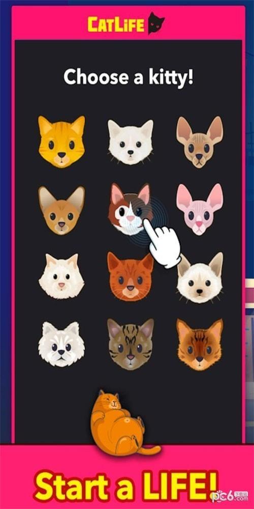 
                        猫生                    截图0