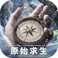 
                        荒原曙光                    
