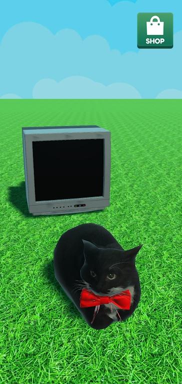 
                        麦克斯韦的猫                    截图1