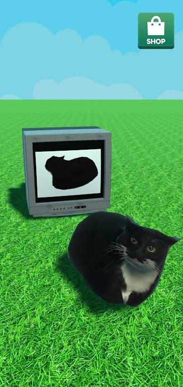 
                        麦克斯韦的猫                    截图0