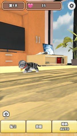 
                        3D猫咪养成                    截图0