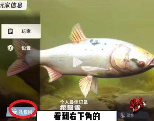 欢乐电子钓鱼