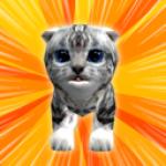 
                        疯狂猫3D版                    