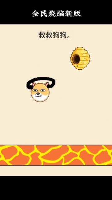 
                        狗狗蜜蜂                    截图3