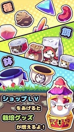 
                        猫咪花盆                    截图0