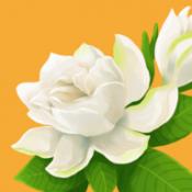 
                        花开树下                    