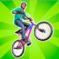 
                        BMX特技大师3D                    