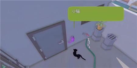 小猫咪大城市安卓版