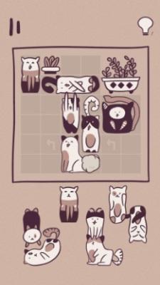 
                        井然有猫                    截图0
