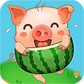 
                        猪猪快跑红包版                    