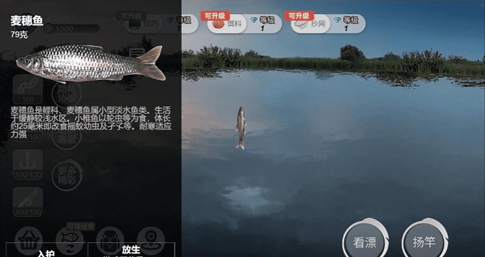 
                        钓鱼绝不空军                    截图3
