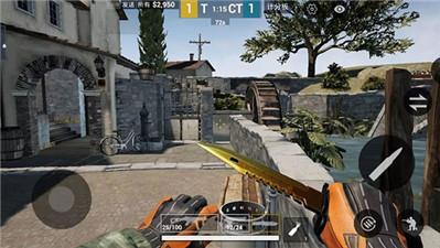 
                        暴躁老阿姨csgo手游                    截图1