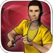 
                        RealBadminton                    