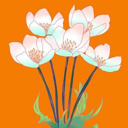 
                        花开美丽                    