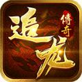 
                        追龙传奇                    