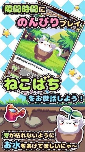 
                        猫咪花盆                    截图1