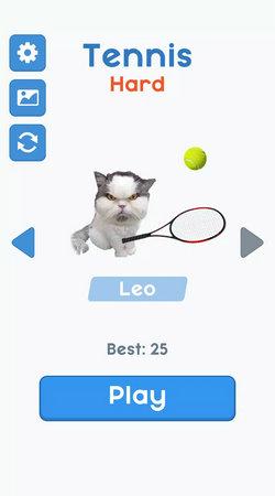 
                        猫网球明星                    截图0