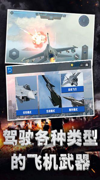 
                        极限飞机驾驶                    截图1