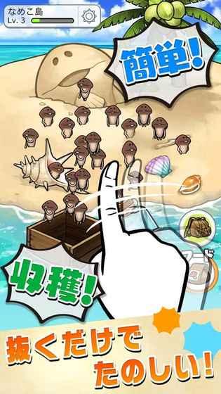 
                        滑子菇栽培套装                    截图1