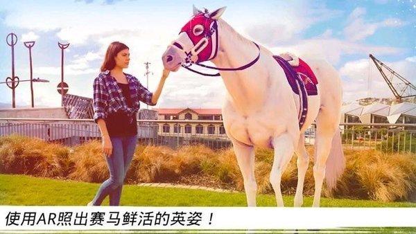 
                        泥塑小马大挑战                    截图0